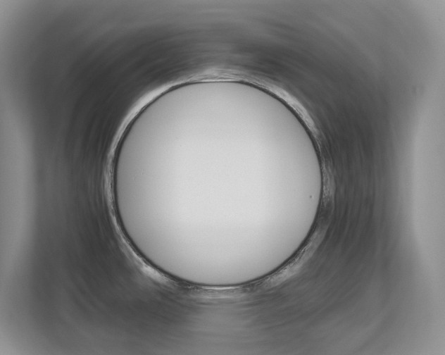 X0000113011486200908270930