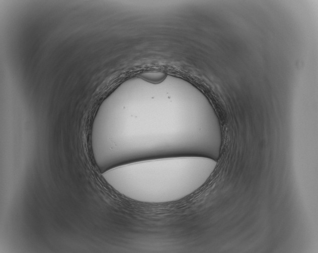 X0000113011489200908270929