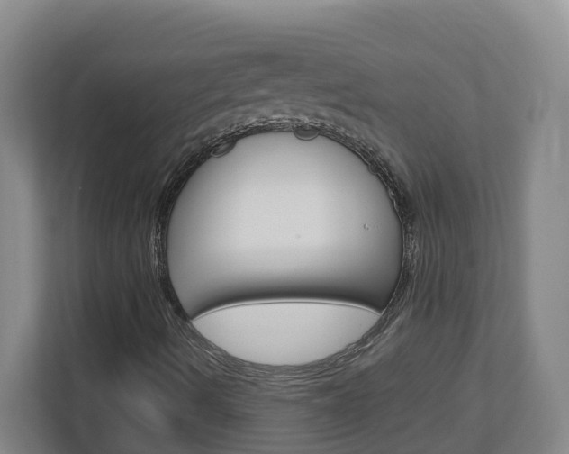X0000113011490200908270929