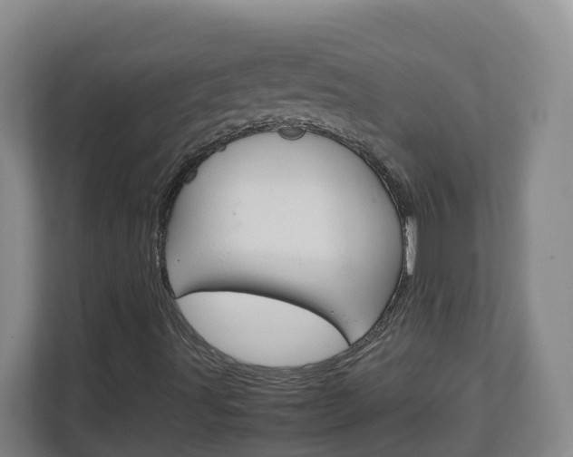 X0000113011491200908270929