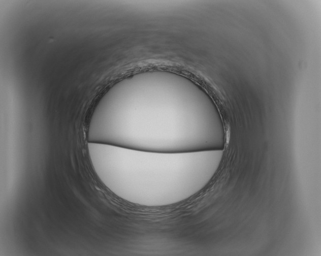 X0000113011492200908270929