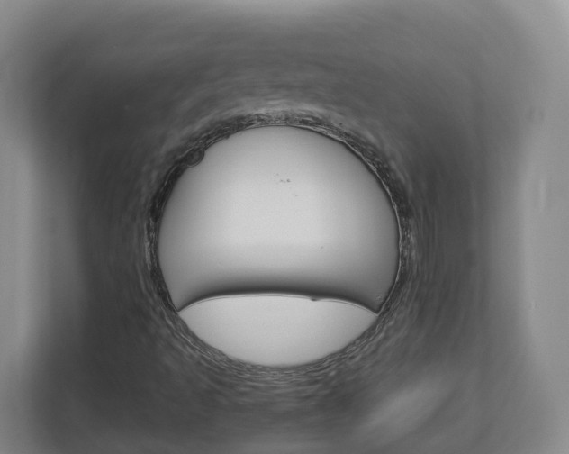 X0000113011493200908270929