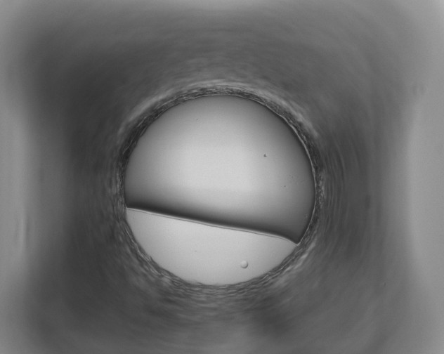 X0000113011494200908270929