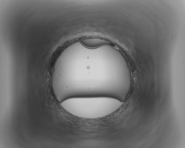X0000113011495200908270929