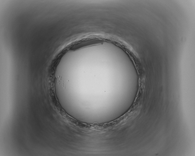 X0000113011496200908270929