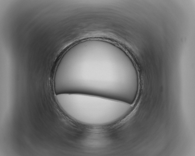X0000113011497200908270929