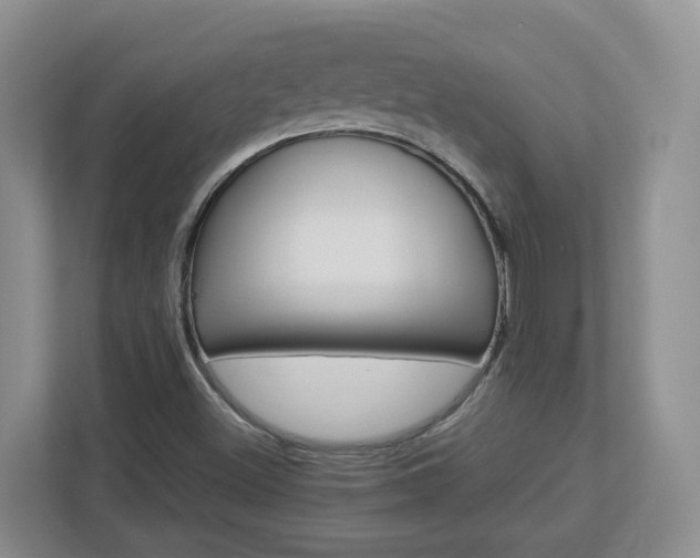 X0000113011500200908270929