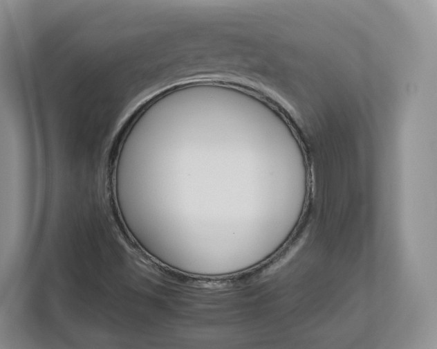 X0000113011501200908270929