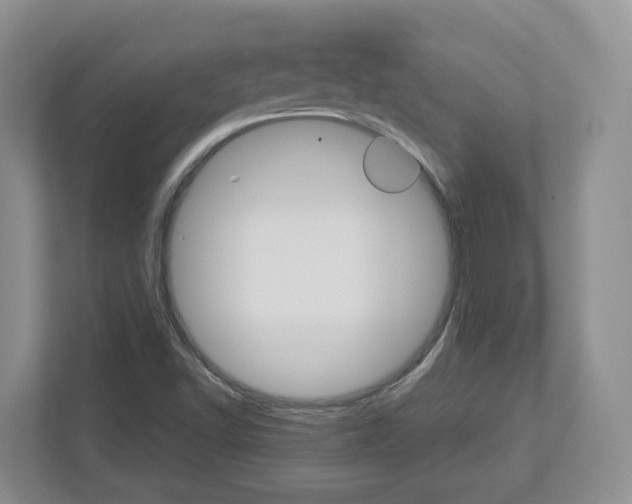 X0000113011502200908270929