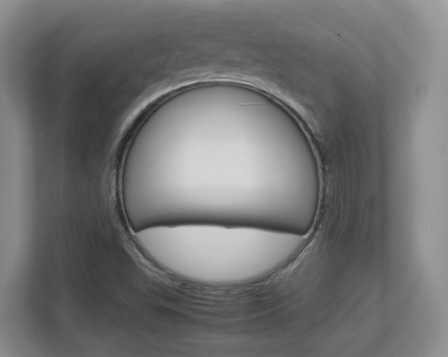 X0000113011503200908270929