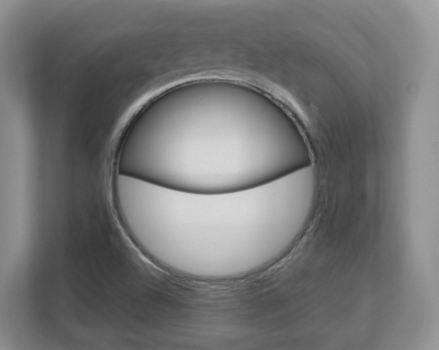 X0000113011504200908270929