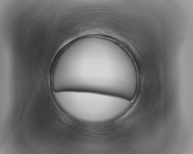 X0000113011505200908270929