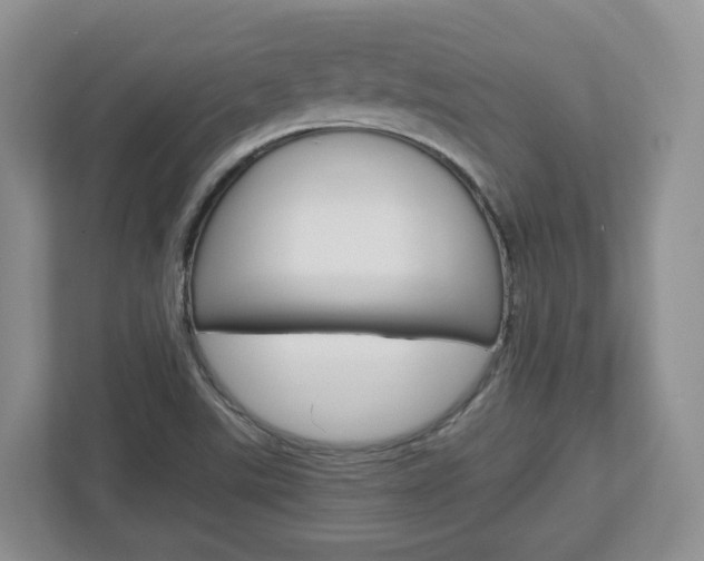 X0000113011507200908270929