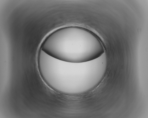 X0000113011508200908270929