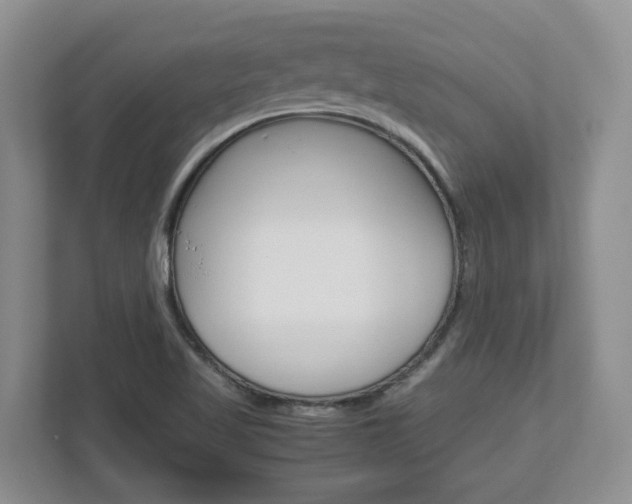 X0000113011509200908270929