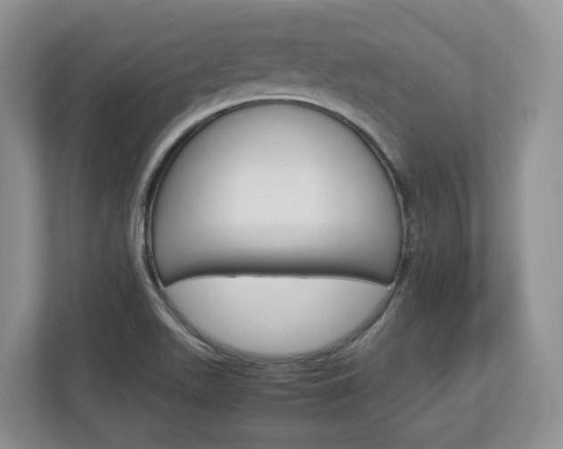 X0000113011511200908270929