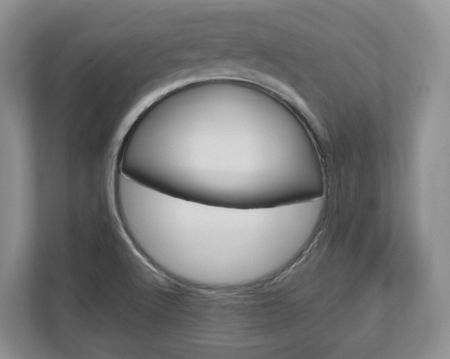 X0000113011512200908270929