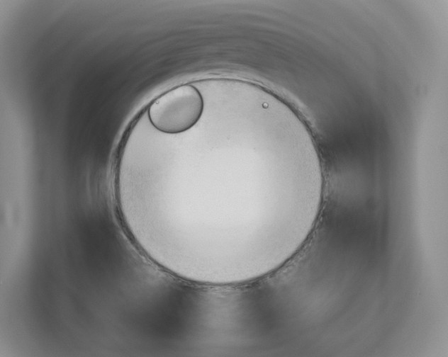 X0000113011514200908270929