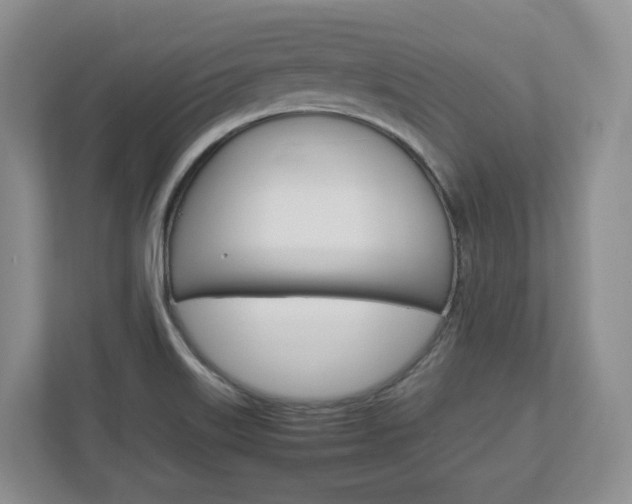 X0000113011515200908270929