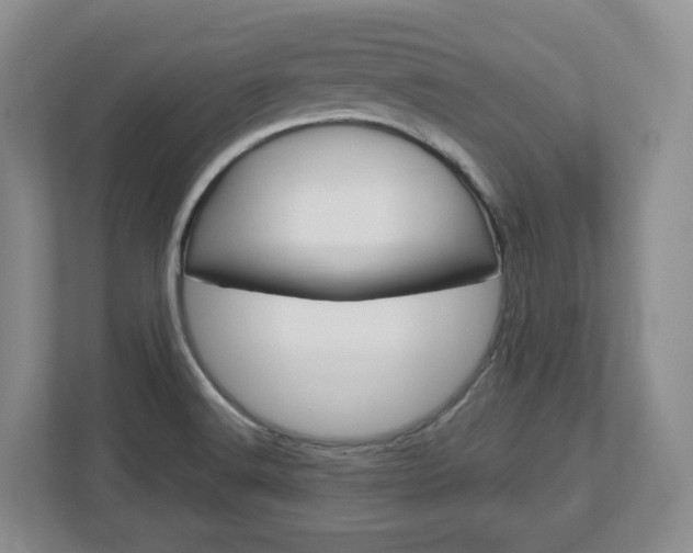 X0000113011516200908270929