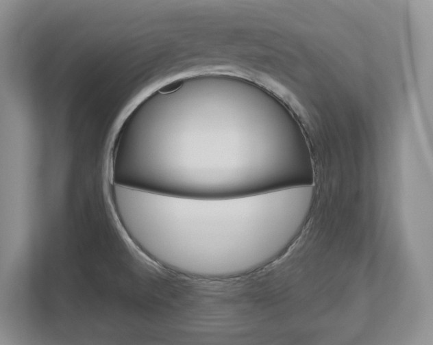 X0000113011520200908270929