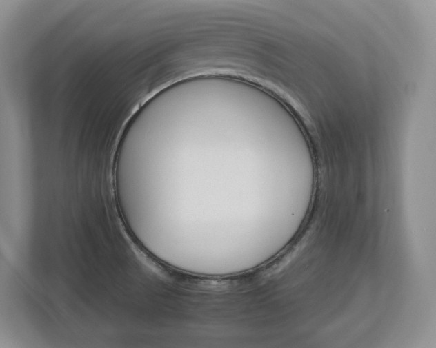 X0000113011521200908270929