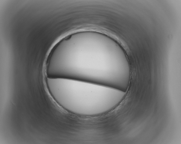 X0000113011522200908270929