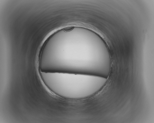 X0000113011523200908270929
