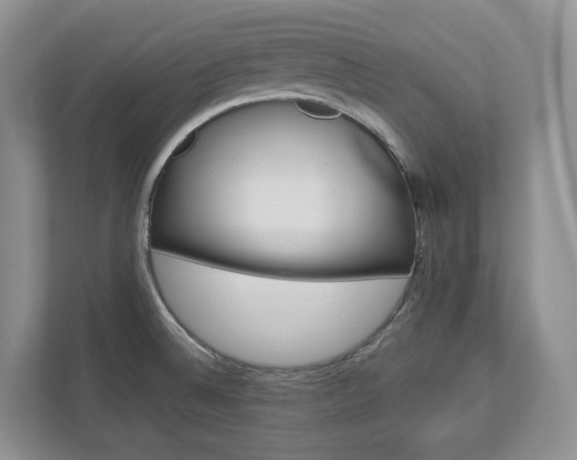 X0000113011524200908270929