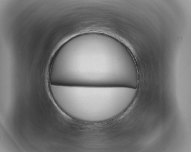 X0000113011525200908270929
