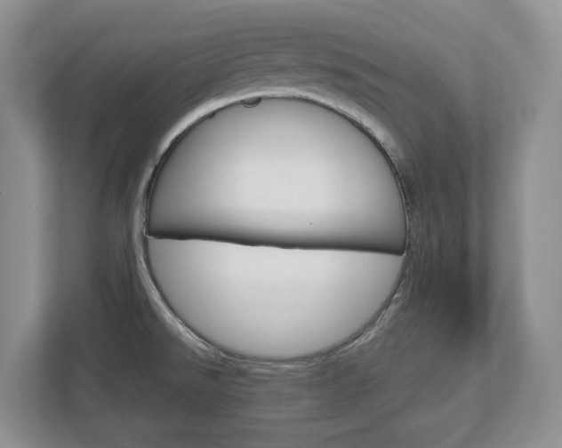 X0000113011526200908270929
