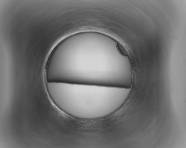 X0000113011527200908270929