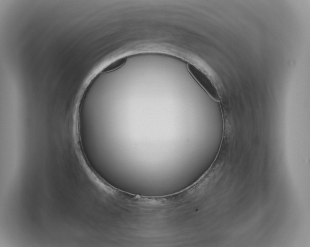 X0000113011528200908270929