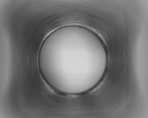 X0000113011529200908270929