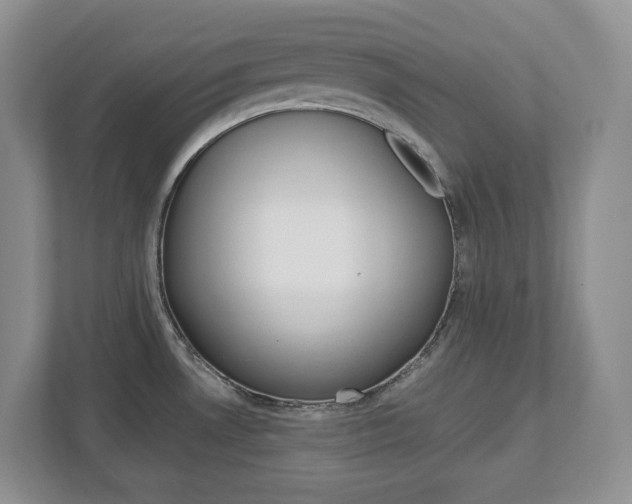 X0000113011530200908270929
