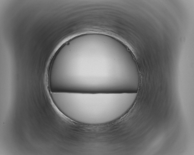 X0000113011531200908270929