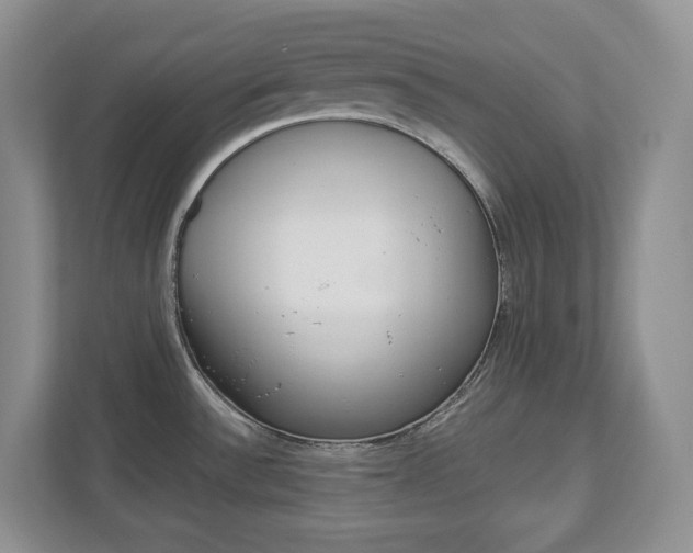 X0000113011532200908270929