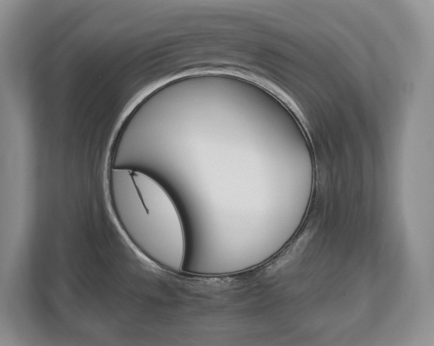 X0000113011533200908270929