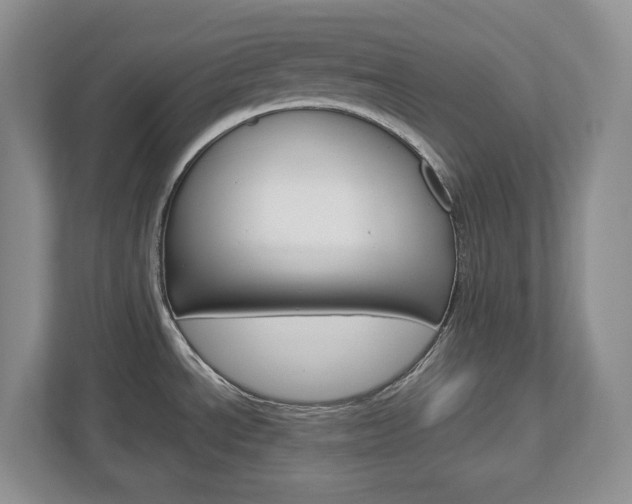 X0000113011534200908270929