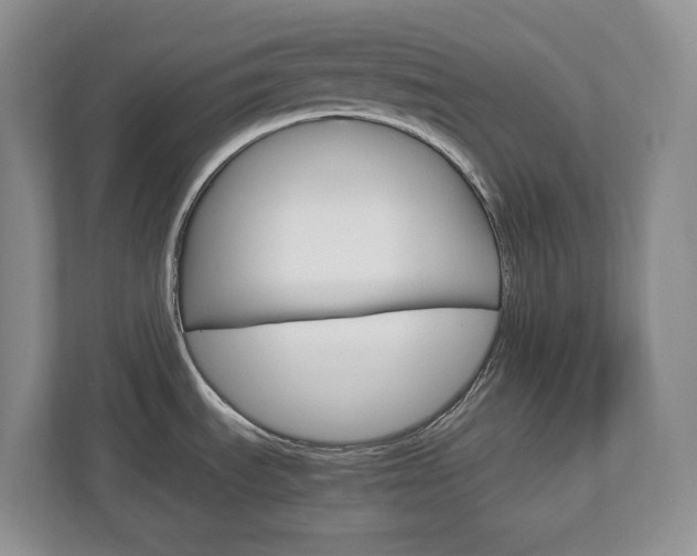 X0000113011535200908270929