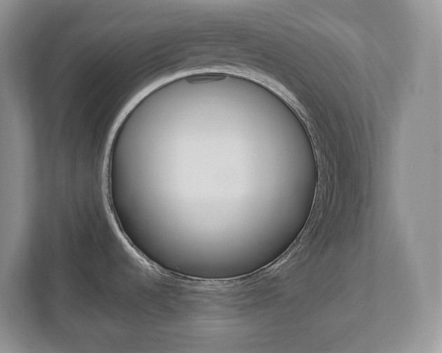 X0000113011536200908270929