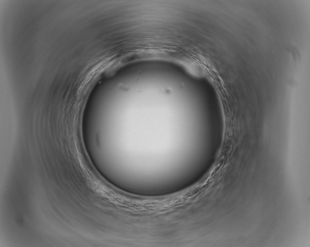 X0000113010001200908271419