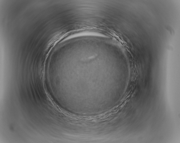 X0000113010002200908271419