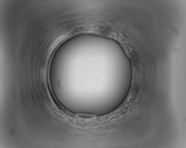 X0000113010003200908271419