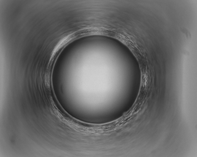 X0000113010004200908271419