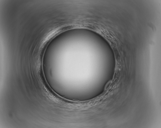 X0000113010005200908271419