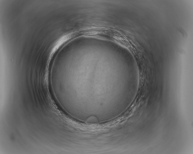 X0000113010006200908271419