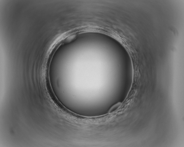 X0000113010007200908271419