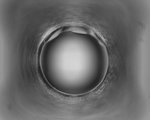 X0000113010008200908271419