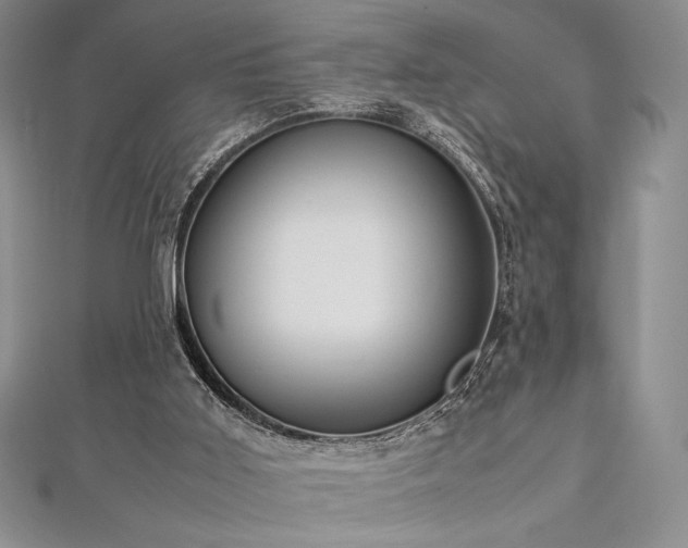 X0000113010011200908271419